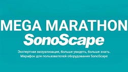 Победители определены. Поздравляем победителей интеллектуального Марафона. 